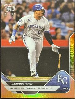 Salvador Perez