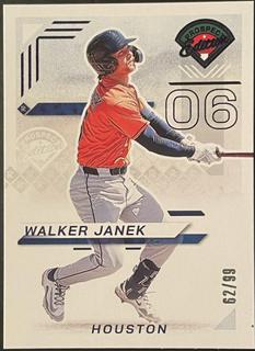 Walker Janek