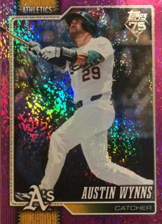Austin Wynns