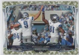 Detroit Lions