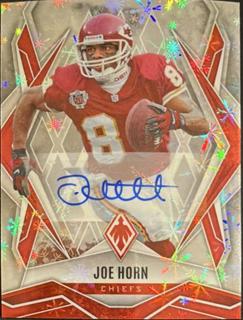 Joe Horn