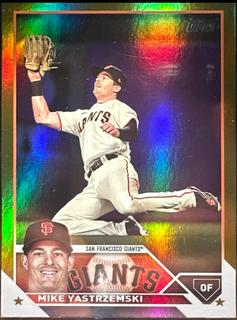 Mike Yastrzemski