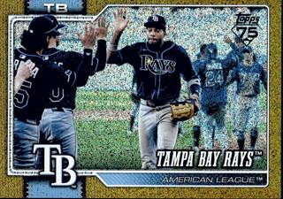 Team Card