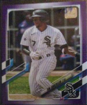 Tim Anderson [Purple] #138