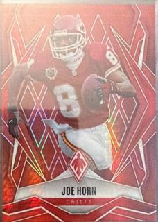 Joe Horn