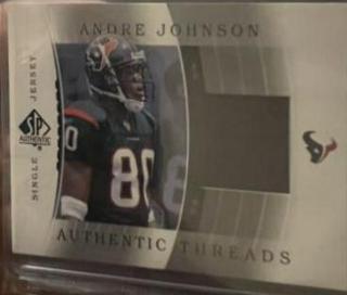 Andre Johnson