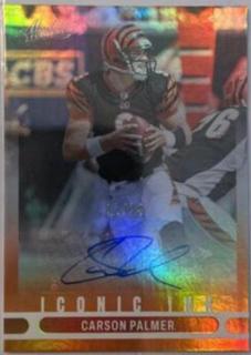 Carson Palmer
