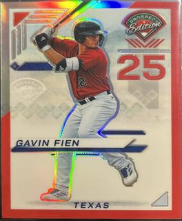 Gavin Fien