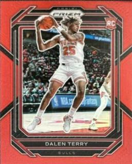 Dalen Terry