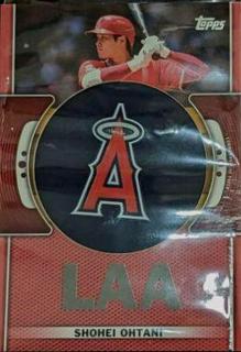 Shohei Ohtani
