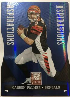 Carson Palmer