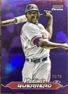 Vladimir Guerrero