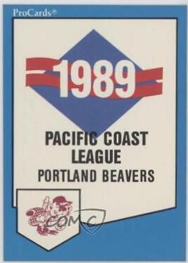 Checklist #207 Baseball Cards 1989 Procards