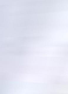 Zach Neto