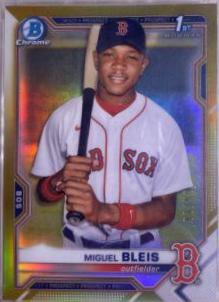 Miguel Bleis