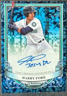 Harry Ford