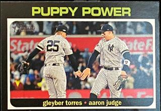 Gleyber Terres / Aaron Judge