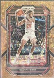 Dalen Terry