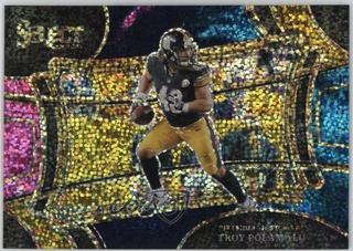 Troy Polamalu