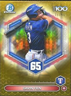Gavin Fien