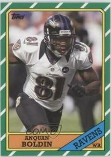 Anquan Boldin