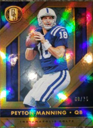 Peyton Manning #29