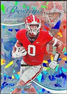 Darnell Washington