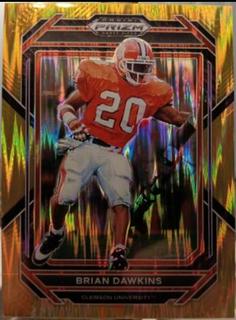 Brian Dawkins