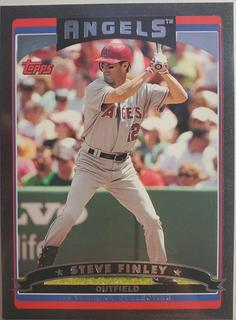 Steve Finley