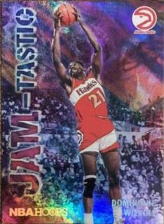 Dominique Wilkins