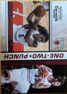 Derrick Rose / Joakim Noah