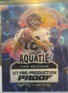 Terry Bradshaw