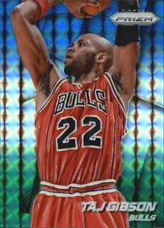 Taj Gibson