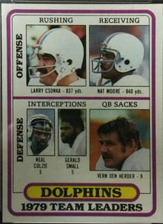 Miami Dolphins