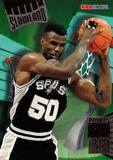 David Robinson