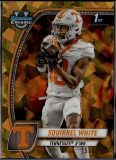Squirrel White