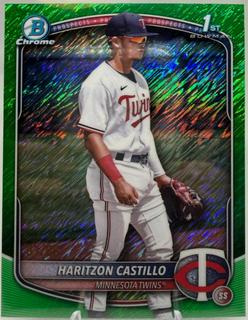 Haritzon Castillo