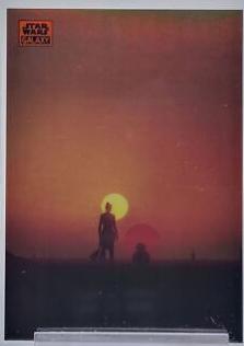 New Beginning [Orange Refractor] #29