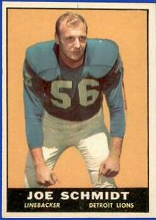 Joe Schmidt