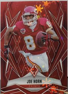 Joe Horn