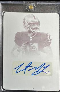 Matt McGloin