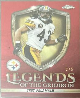 Troy Polamalu