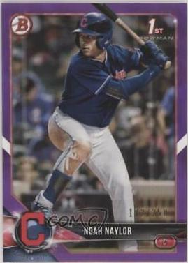 Noah Naylor [Purple] #BD-193