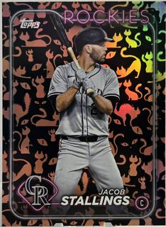 Jacob Stallings