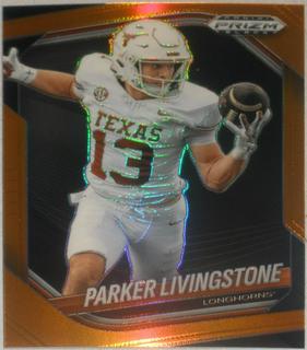 Parker Livingstone