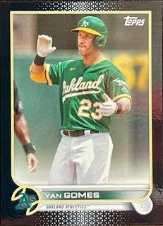 Yan Gomes