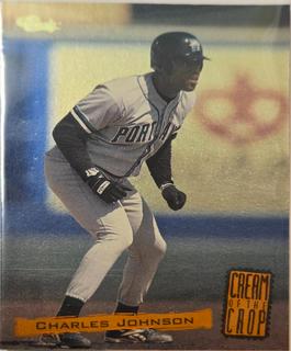 Charles Johnson