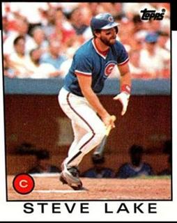 Steve Lake