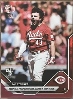 Sal Stewart