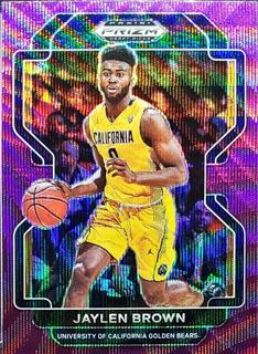 Jaylen Brown